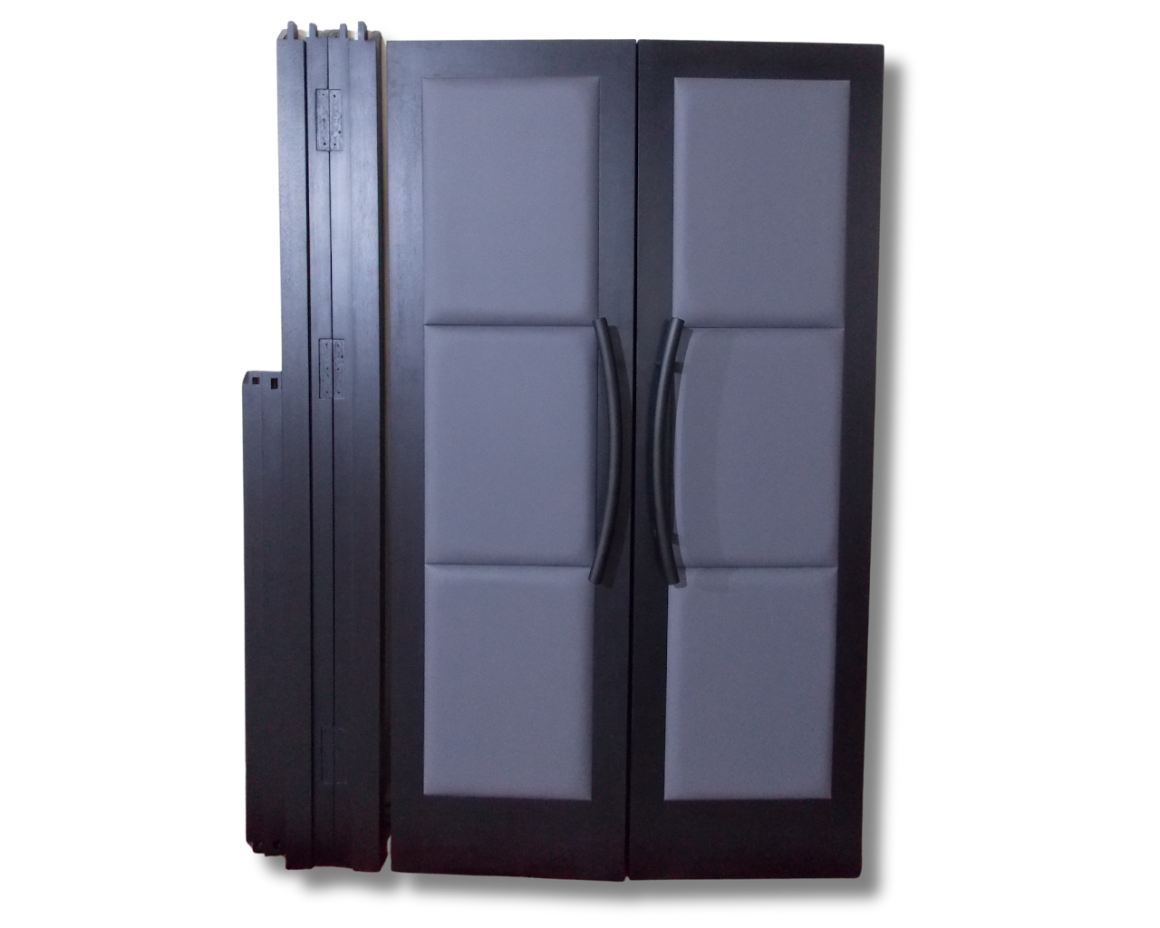 Manisha's Home Theater Door CROWNCUSTOMDOORS