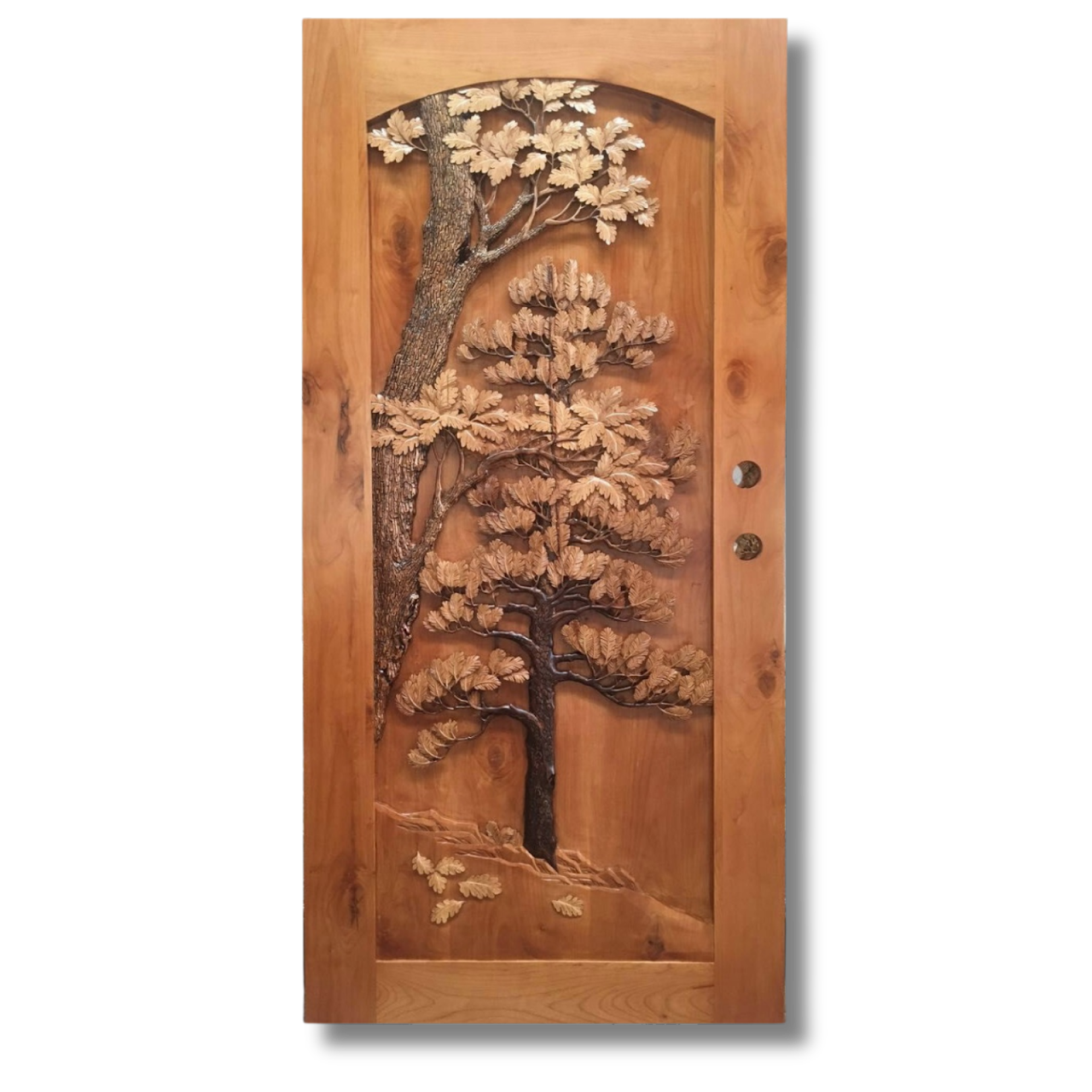 OAK AND PINE Single Door (2)