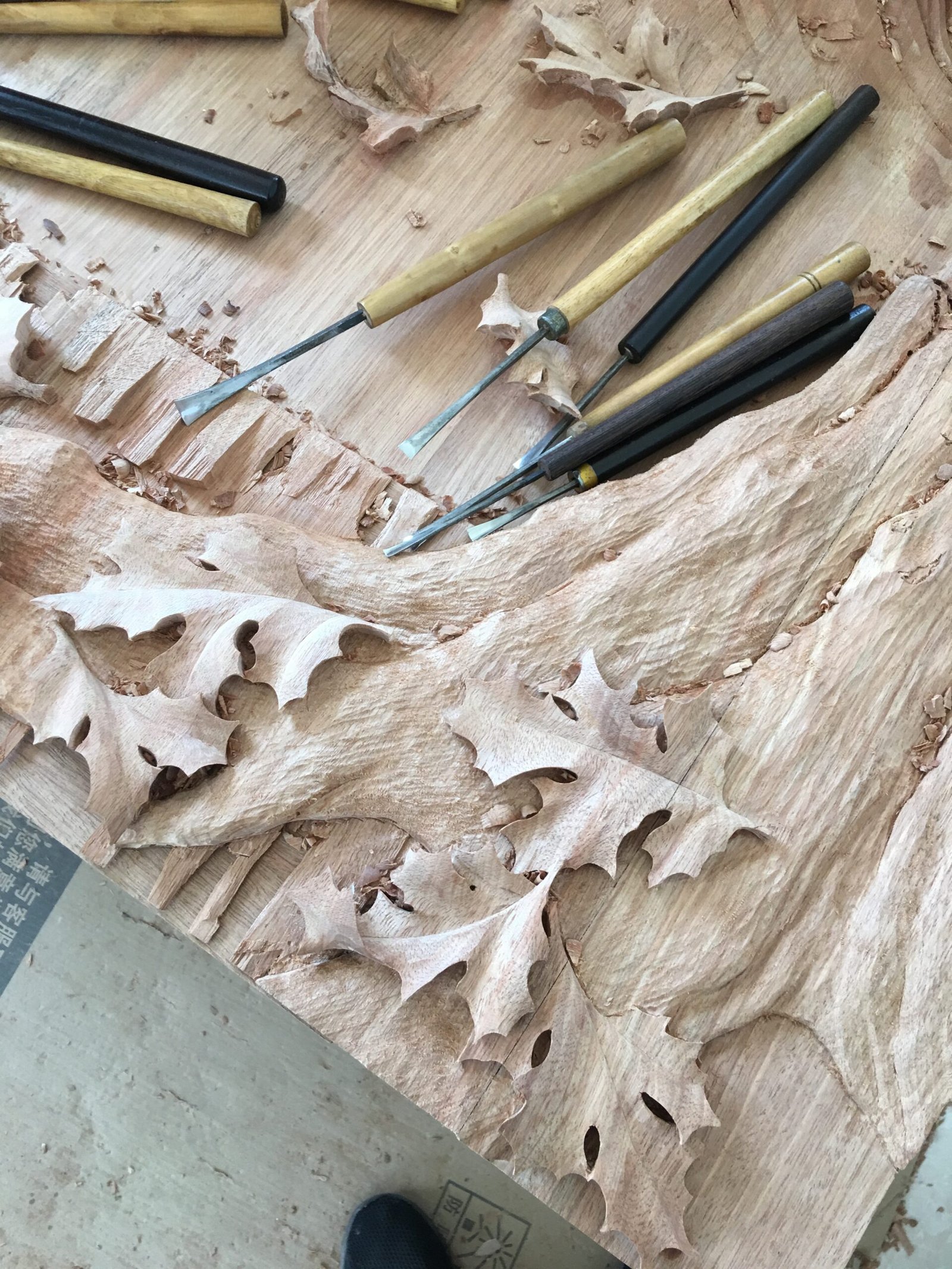 Red Oak Leaf