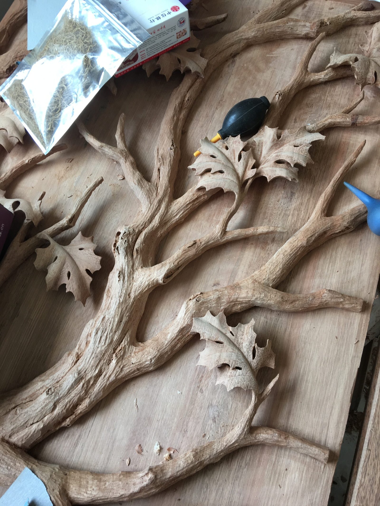 Carved Leaves