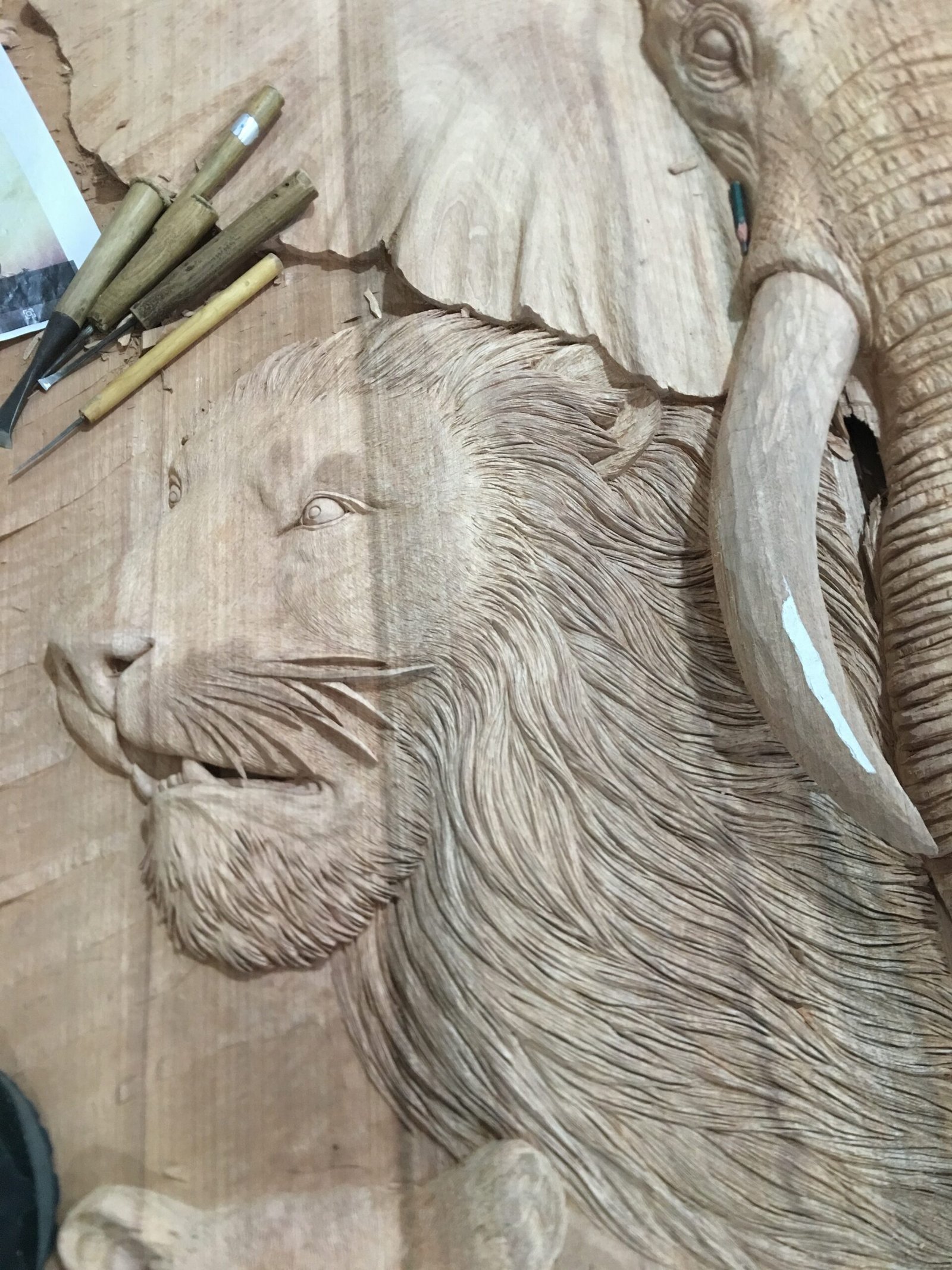 A detailed close-up view of a raw solid wood door panel during the hand-carving process, highlighting the highly textured lion face, whiskers, and mane sculpted in high-relief next to an elephant tusk, with fine woodcarving chisels laying nearby.