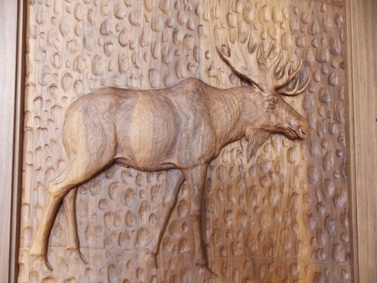 Full side view of a finished solid black walnut door panel featuring a high-relief hand carving of a full-body bull moose against a hand-gouged textured wood background.