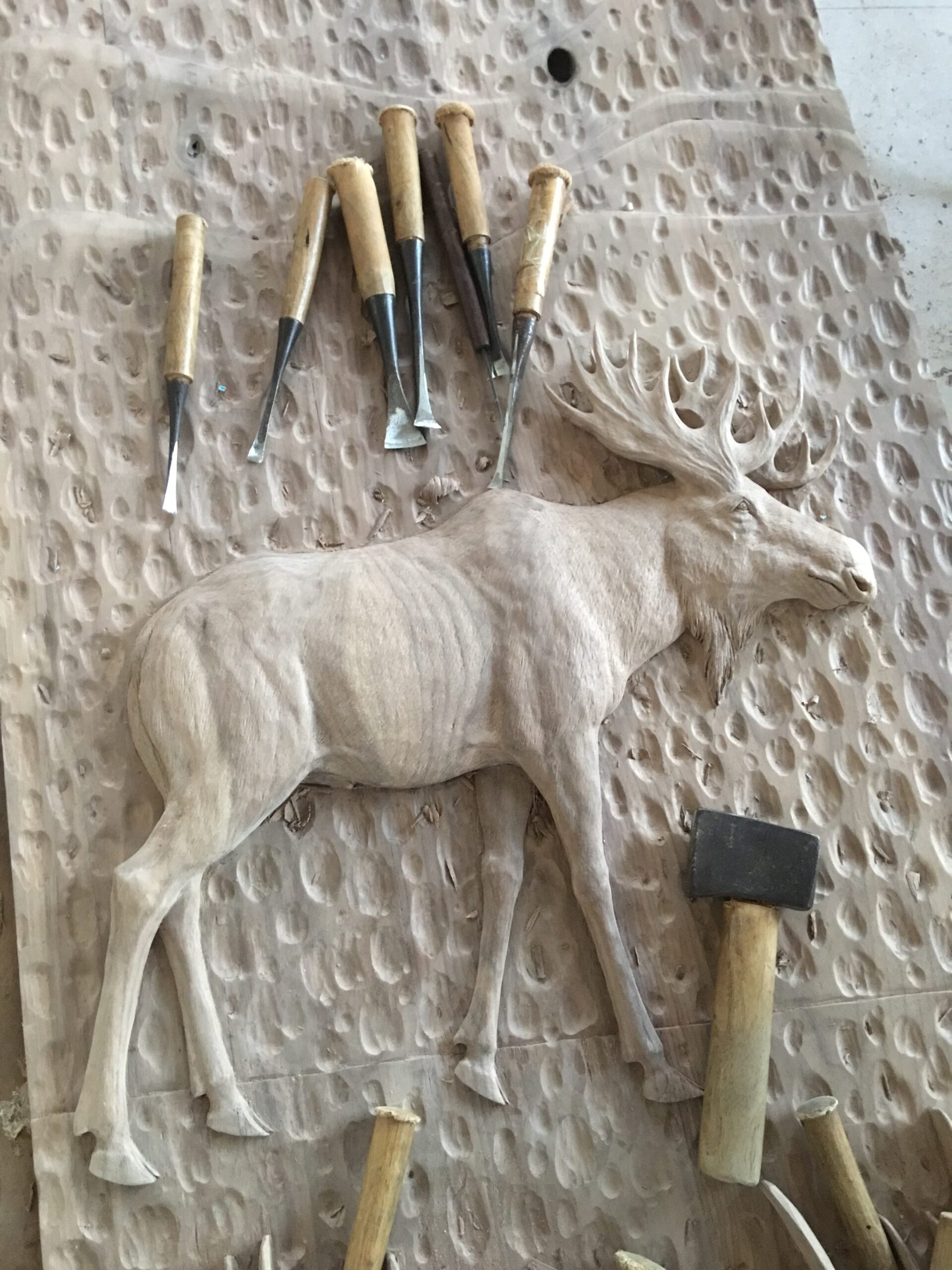 Overhead view of an unfinished solid wood door panel featuring a hand-carved bull moose in progress, surrounded by traditional hand chisels and a mallet on a hand-gouged textured wood background.
