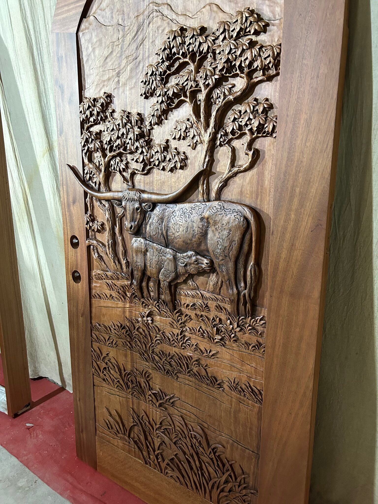Angled full-length view of a finished solid wood arched single entry door with warm stain, featuring a deep high-relief carving of a Texas Longhorn cow and calf for a rustic Texas ranch home.