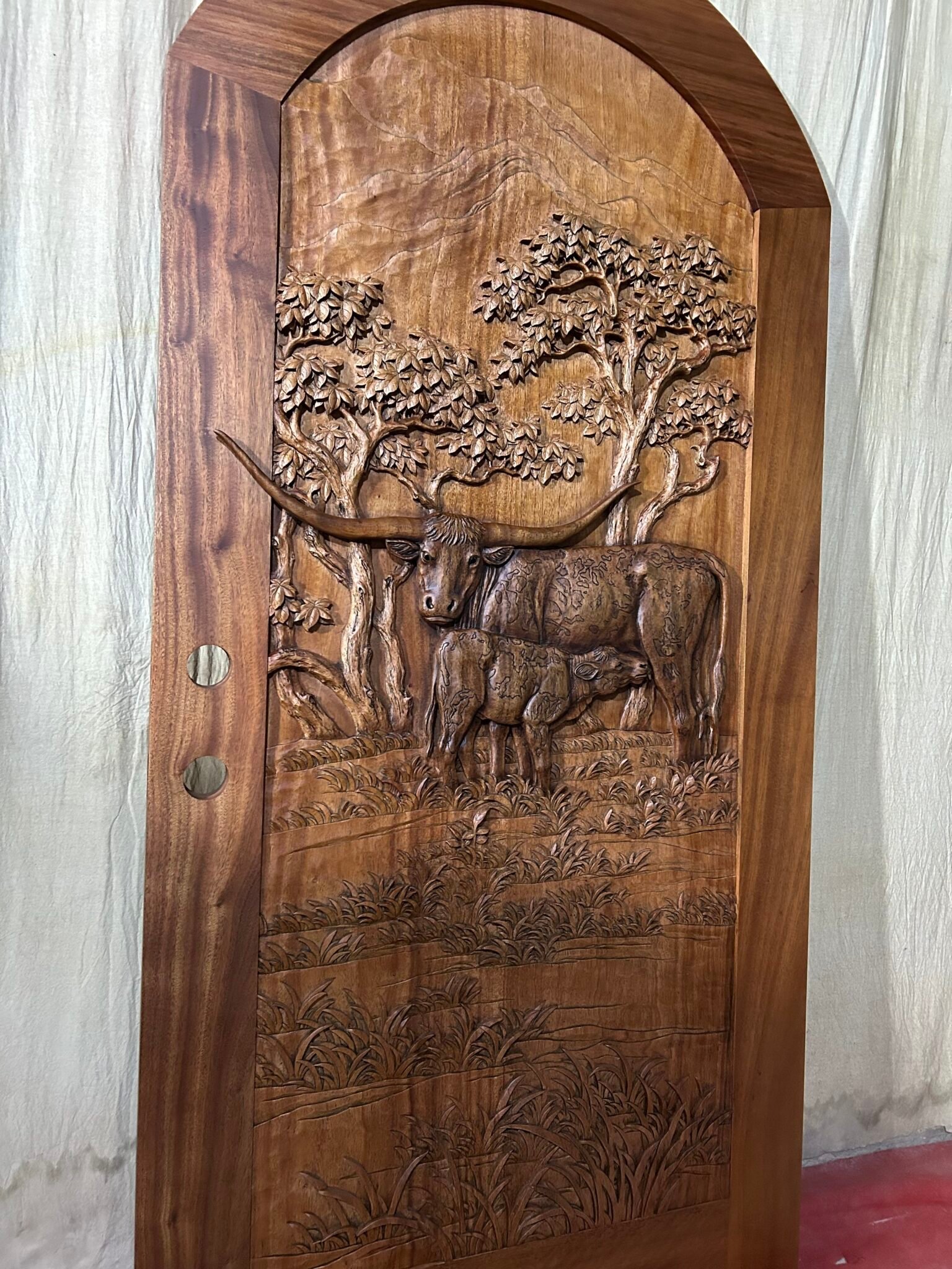 Front-facing close portrait of a finished round-top arched solid wood single entry door with warm stain, featuring hand-carved Texas Longhorn cattle high-relief art against a neutral background.