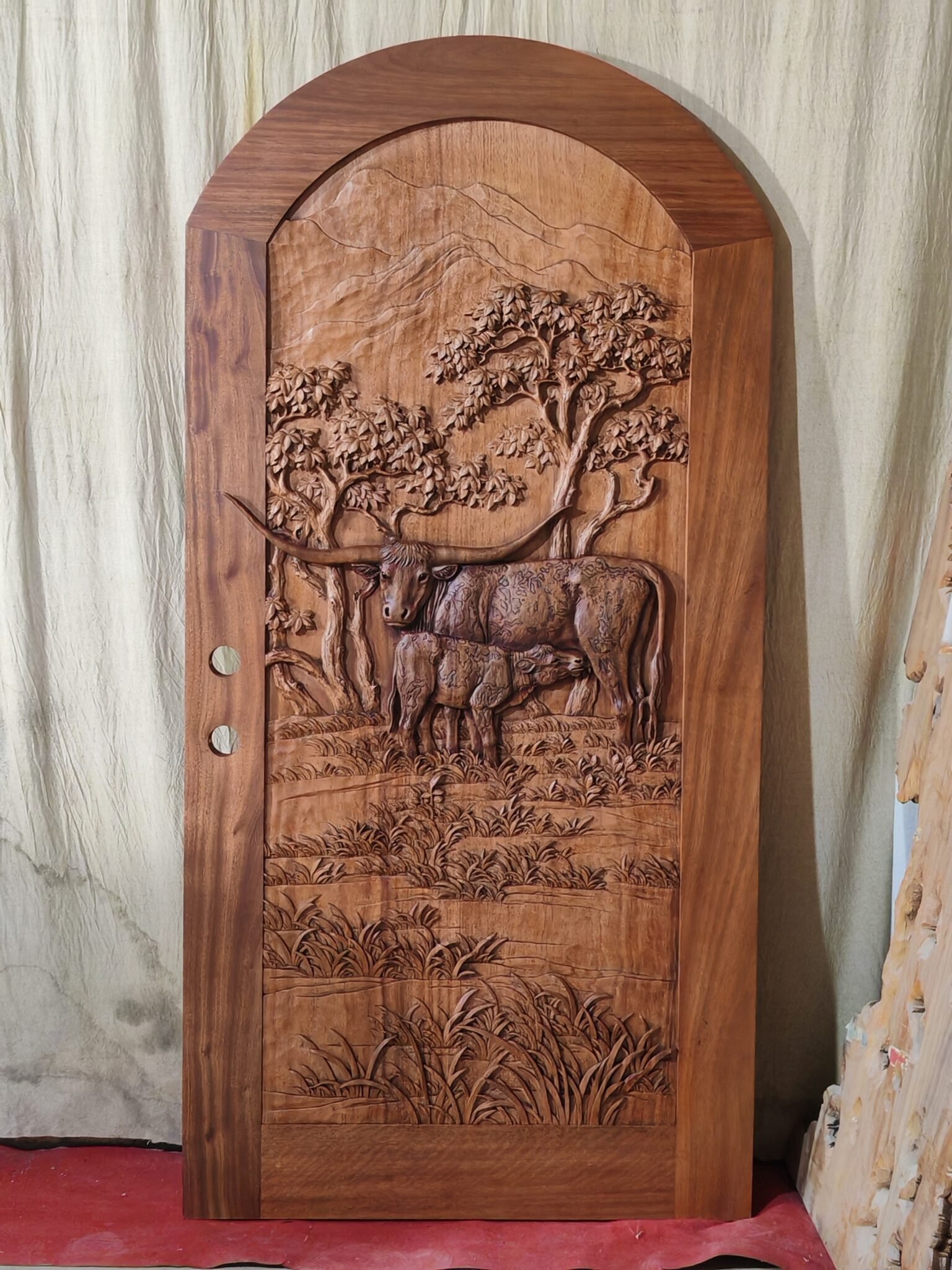 Straight-on full view of a finished arched solid wood single entry door set against a neutral backdrop, featuring hand-carved Texas Longhorn cattle relief art for a Texas ranch home.