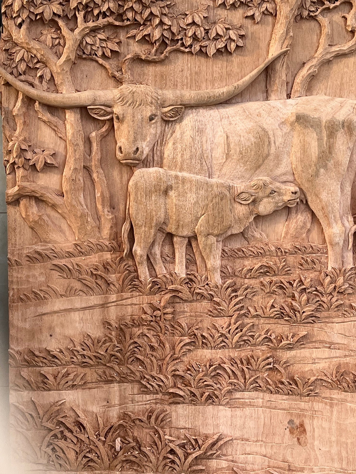 Close-up of raw, unfinished hand-carved solid wood door panel depicting a Texas Longhorn cow with nursing calf under oak trees, showing artisan chisel marks before stain finishing.