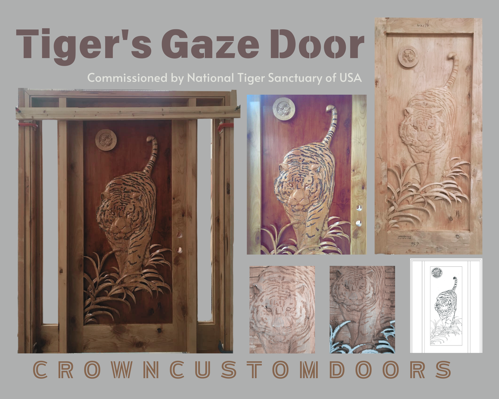 Custom hand-carved solid wood entry door titled Tiger's Gaze, featuring a detailed 3D relief carved tiger walking through grass, commissioned by the National Tiger Sanctuary of USA and crafted by Crown Custom Doors.