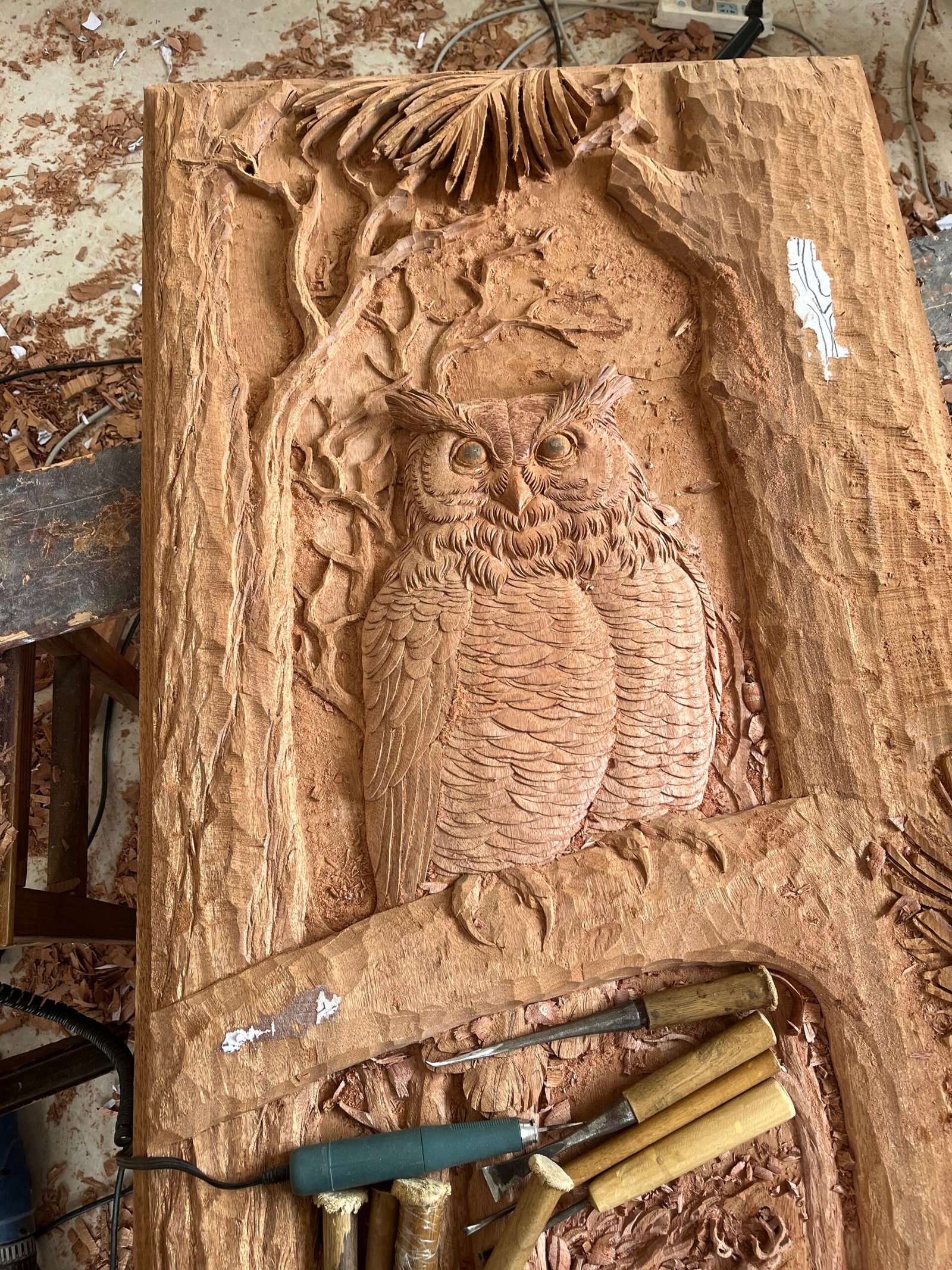 Close-up photo of a deeply hand-carved horned owl relief on a solid wood door panel with visible feather textures, tree branches, and traditional wood chisels lying below.